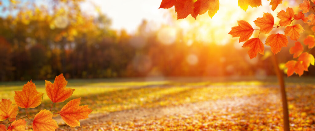 Things to do in Ohio this Fall