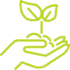 Plant Tree