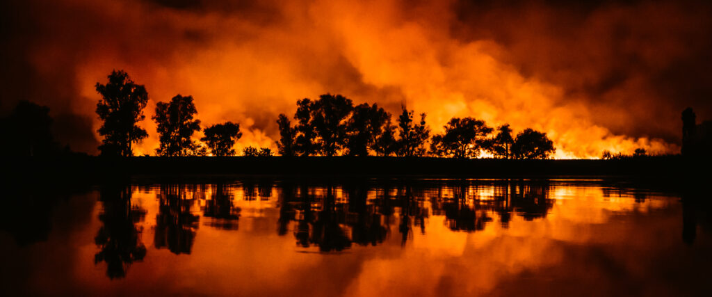 Forest Wild Fires and Commitment to Rebuild